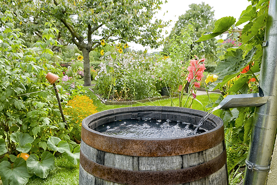 take-advantage-of-the-rain-how-to-use-your-gutters-for-rainwater